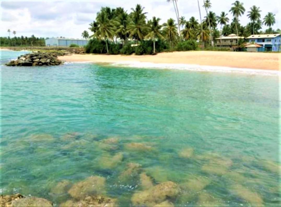 Sea Shell Villa Hikkaduwa 2 Separate Cabanas Ocean Front Villa Ngoại thất bức ảnh